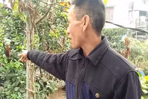 500 trẻ mầm non An Khánh sơ tán: Dân hít khói lạ cũng nôn mửa