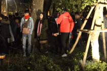 Kinh hãi cảnh vườn hoa hồ Gươm bị san trụi sau giao thừa