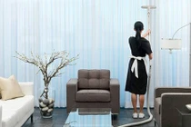 Mới thuê giúp việc 1 ngày, gia chủ khốn khổ mất nhiều tài sản