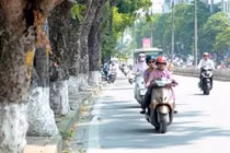 Dự báo thời tiết 2/4: Cuối tuần miền Bắc trở lạnh