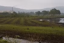 Nguyên chủ tịch xã “phù phép” 13 lô đất cho người thân thế nào?