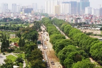 Ngắm hàng cây xanh mướt trên đường Phạm Văn Đồng trước khi chặt hạ