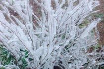 Thực hư đỉnh núi Mẫu Sơn xuất hiện băng tuyết?