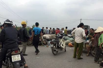 Cả làng kéo nhau đi phản đối đốt rác gây ô nhiễm ở Hà Nội