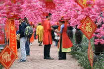 Người dân Hà Nội nô nức đến vườn hoa chụp ảnh Tết