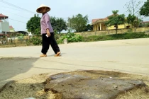 Cận cảnh hàng loạt cây xanh bị chặt hạ để dọn vỉa hè Hà Nội