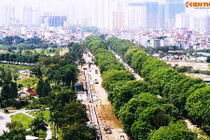 Chi phí chặt hạ hơn 1.000 cây xanh đường Phạm Văn Đồng là bao nhiêu?