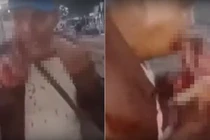 Rợn người thanh niên ngang nhiên ăn thịt mèo sống