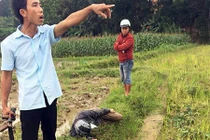 Ảnh: Hai thanh niên trộm chó bị vây bắt đánh giữa đồng