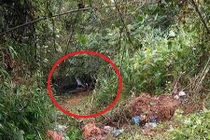 Phát hiện cô gái tử vong trong ôtô nằm dưới vực sâu