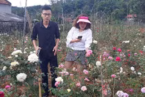 Từ trồng cho vui để ngắm, giờ có vườn hồng đáng giá vài tỷ đồng