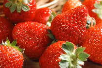 Video: Top 13 trái cây giàu canxi hơn cả sữa, bà bầu nên biết