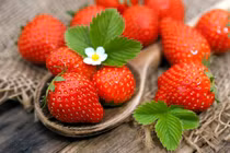 Dâu tây - “nữ hoàng” trong các loại quả: Giảm thiếu máu, ngừa ung thư 