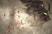 Mẹ chồng giúp con dâu xát ớt vùng nhạy cảm nhân tình con trai