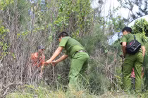 Toàn cảnh truy bắt tên cướp ngân hàng PVcombank ở Vũng Tàu