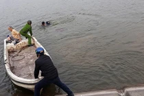 Cảnh sát bơi xuống hồ Linh Đàm lạnh lẽo giải cứu người đàn ông