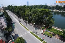 Chùm ảnh: Ngắm lần cuối hàng xà cừ đường Kim Mã sắp bị mất