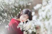 3 con giáp tình đỏ như son, giàu sang có tiếng năm Kỷ Hợi 2019 