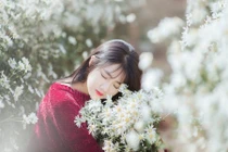 3 con giáp tình đỏ như son, giàu sang có tiếng năm Kỷ Hợi 2019 