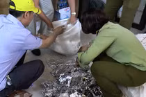 Hà Nội: Đột kích, thu giữ hàng nghìn mỹ phẩm không nguồn gốc