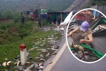 Hòa Bình nói gì thông tin người dân “hôi” cá ở dốc Quy Hậu?