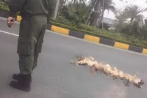 Cô gái nước ngoài nhảy cầu vượt tử vong tại sân bay Nội Bài