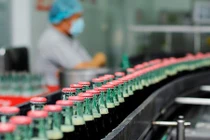 Nghi vấn hàng loạt doanh nghiệp FDI chuyển giá, trốn thuế