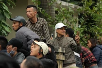 Chui rào, leo tường vào VFF đòi mua vé trận Việt Nam - Malaysia