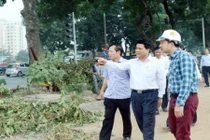 Chủ tịch Hà Nội kiểm tra đột xuất cây xanh đường Phạm Văn Đồng