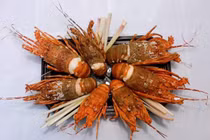 Tôm hùm 28.000 đồng/con, có nên mua về sử dụng? 