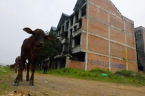 Cận cảnh KĐT Kim Chung - Di Trạch của Vietracimex “đắp chiếu” cả thập kỷ được điều chỉnh quy hoạch