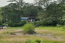 Kinh hãi phát hiện 1 thi thể đang phân hủy sau bến xe