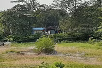 Kinh hãi phát hiện 1 thi thể đang phân hủy sau bến xe