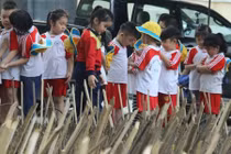 Ảnh: Hãi hùng tre nhọn như chông cắm tua tủa ở vườn hoa Hà Nội