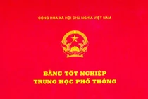 Bị tố dùng bằng giả, chủ tịch xã lại được giao tự đi xác minh