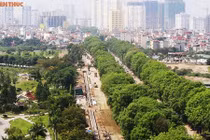 Sở Xây Dựng Hà Nội thông tin việc chặt hạ hơn 1.300 cây xanh