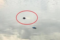 Hãi hùng thi thể người đàn ông nổi lập lờ trên hồ nước
