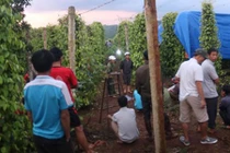 Người đàn ông chết bất thường trên rẫy ở miệng có nhiều máu