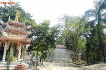 Tiền bán cây sưa 100 tỷ đồng sẽ được sử dụng như thế nào?