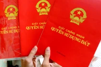 Bí thư quận chỉ đạo giải quyết đơn tố cáo Giám đốc VP Đăng ký Đất đai Long Biên