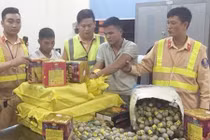 Bắt gọn xe tải vận chuyển 63kg pháo Trung Quốc trong đêm