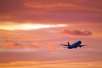 Một hành khách bị cấm bay 12 tháng do giả mạo giấy tờ