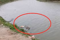 Thông tin mới nhất vụ thi thể bị trói tay trên sông