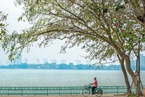 Nhiệt độ khu vực Bắc Bộ và Trung Bộ tăng nhẹ, Hà Nội thời tiết mát mẻ