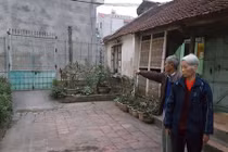 Cháu ruột liên tục chửi bới, đuổi đánh bác gần 80 tuổi ở Hà Nội