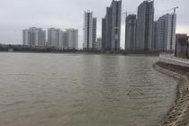 Đi tập thể dục, bàng hoàng phát hiện thi thể nổi trên hồ Metro