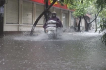 Bão số 3: Hai người bị thương do cây đổ ở Hà Nội