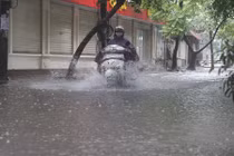 Bão số 3: Hai người bị thương do cây đổ ở Hà Nội