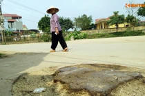 Làm rõ trách nhiệm việc hàng loạt cây xanh bị chặt để dọn vỉa hè