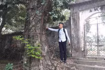 Dân làng sung sướng vì được bán cây sưa định giá 100 tỷ đồng 